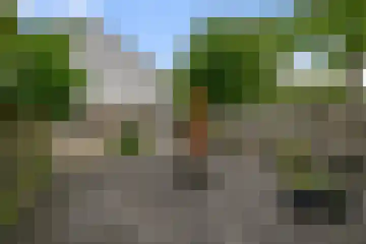 E.F. van den Banweg 73 Almere thumbnail 31