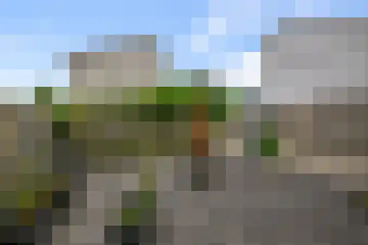 E.F. van den Banweg 73 Almere thumbnail 32