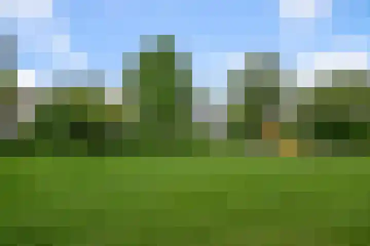 E.F. van den Banweg 73 Almere thumbnail 8