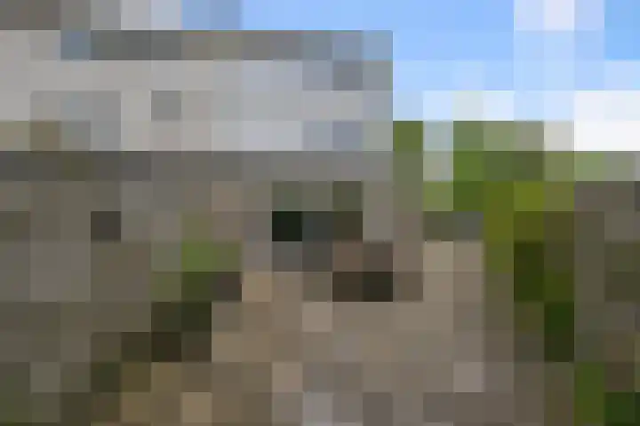 E.F. van den Banweg 73 Almere thumbnail 9