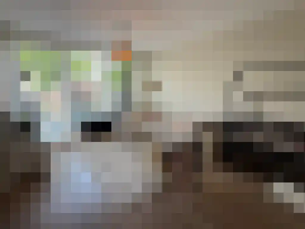 E.G. Balchstraat 9 Groningen thumbnail 6