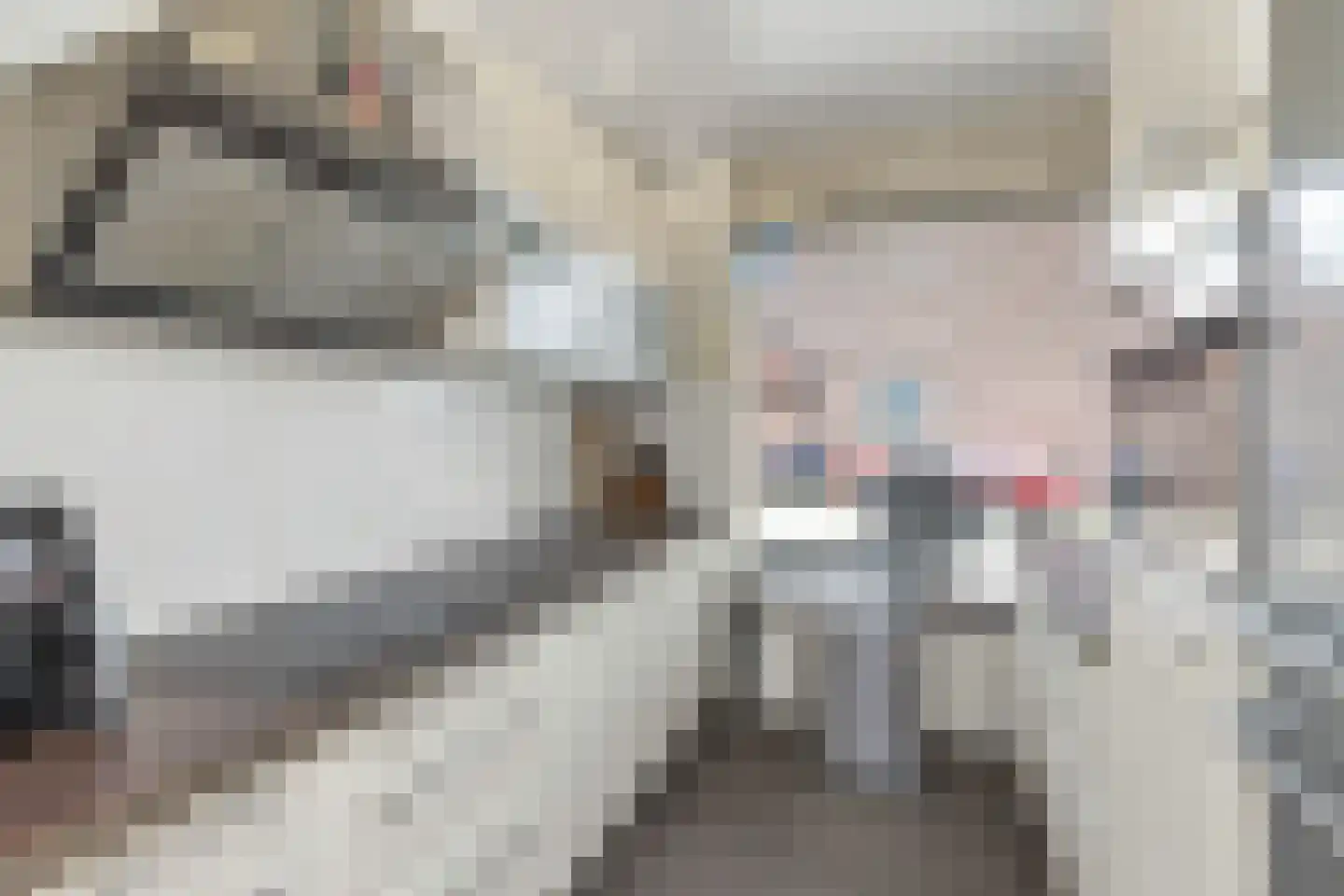 E.H. Begemannstraat 3 Helmond thumbnail 13
