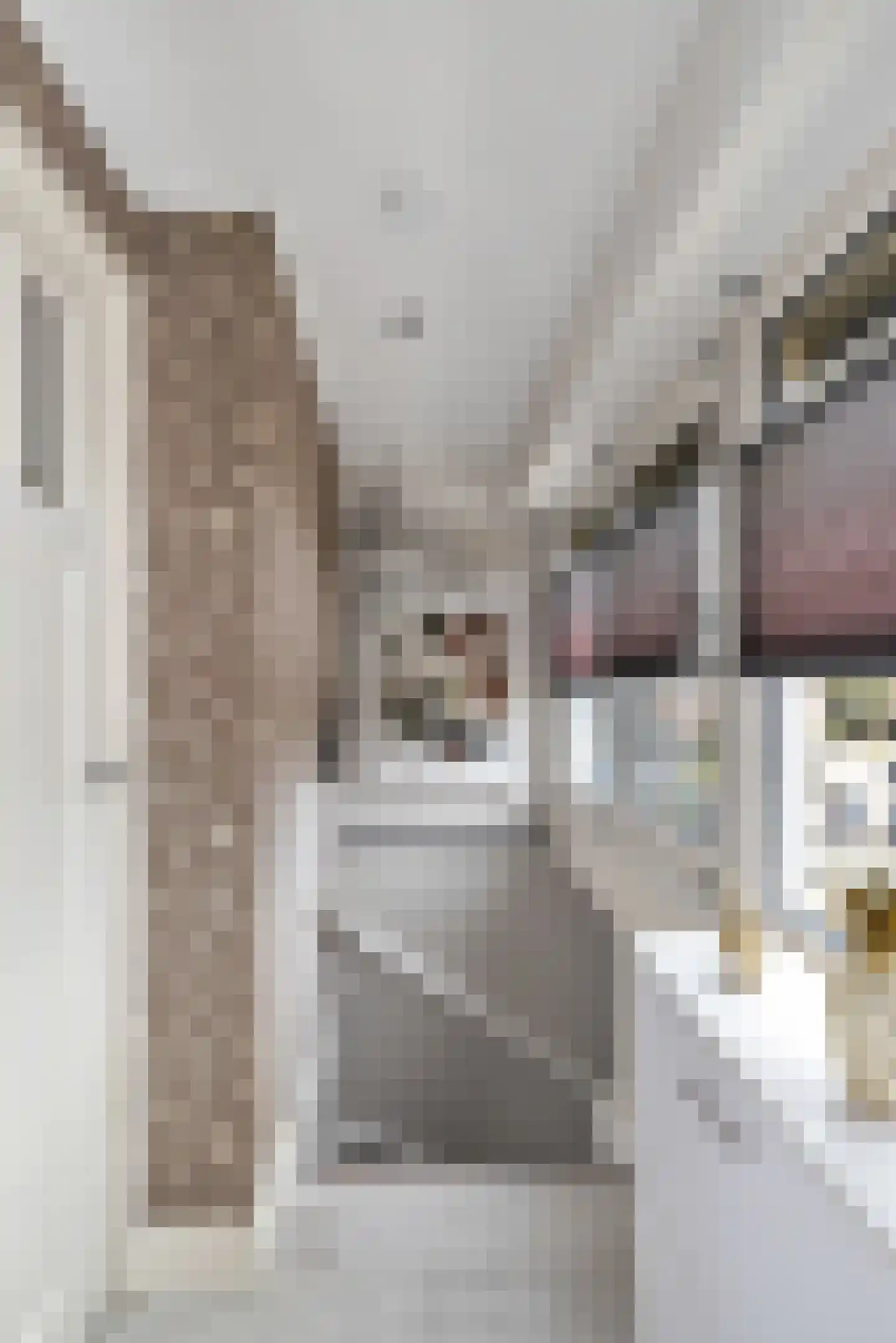 E.H. Begemannstraat 3 Helmond thumbnail 27