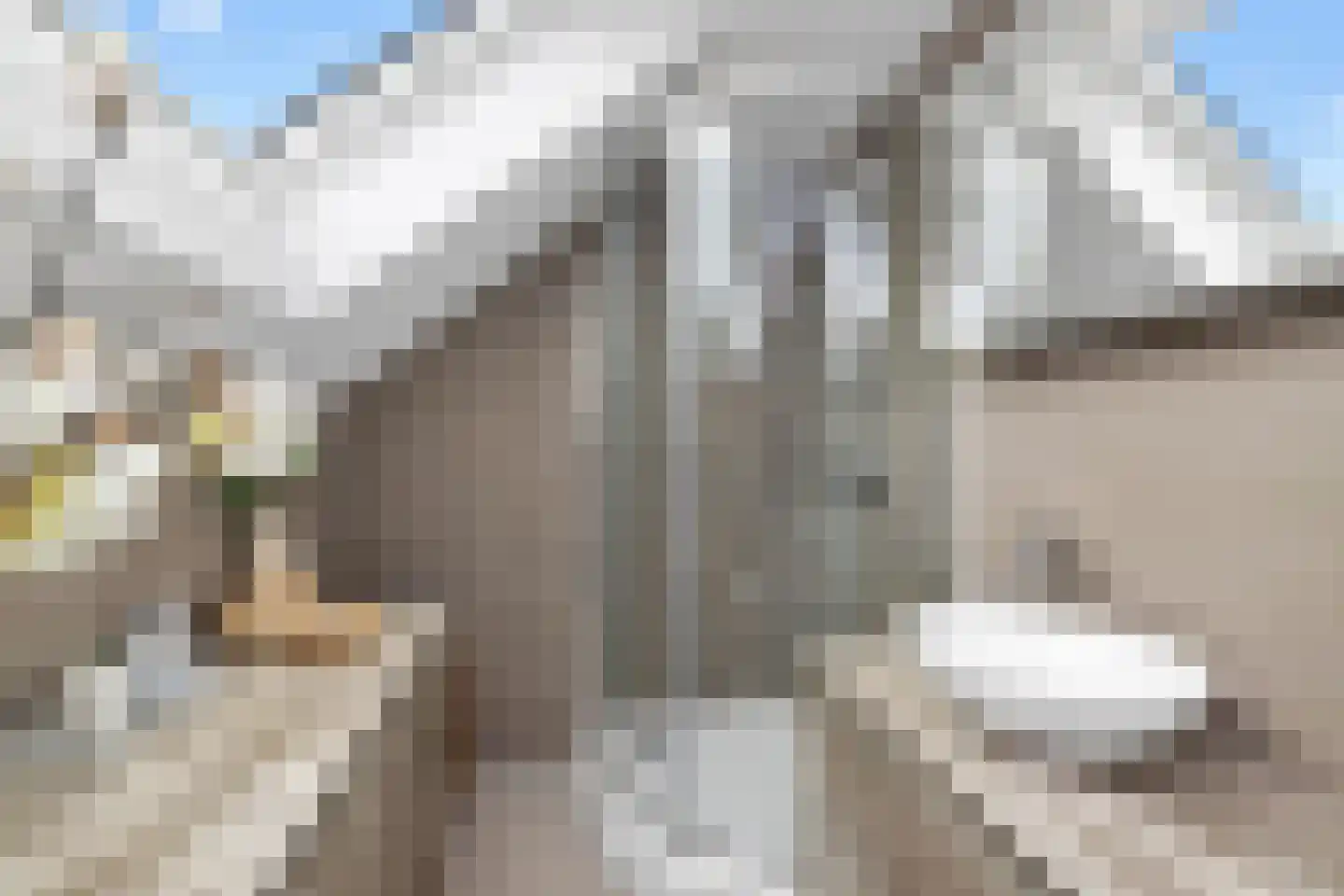 E.H. Begemannstraat 3 Helmond thumbnail 4