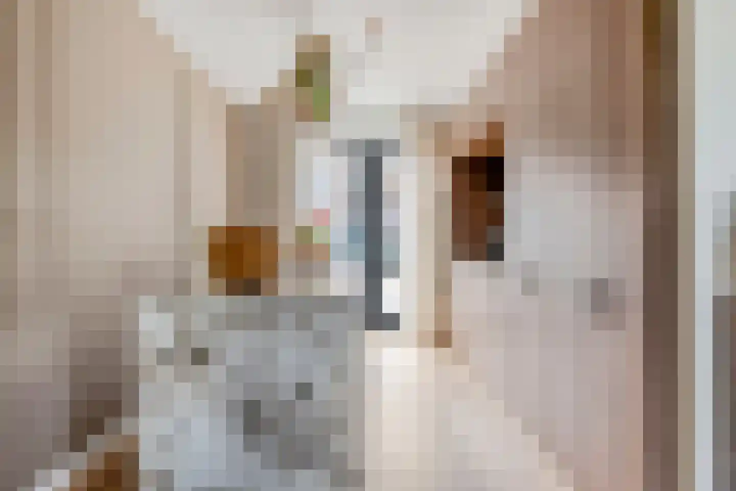 E. Hamburgerstraat 15 Heinenoord thumbnail 18