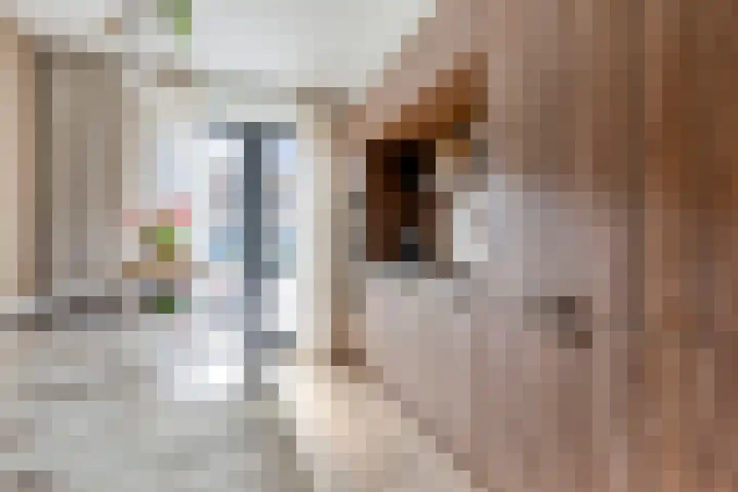 E. Hamburgerstraat 15 Heinenoord thumbnail 19