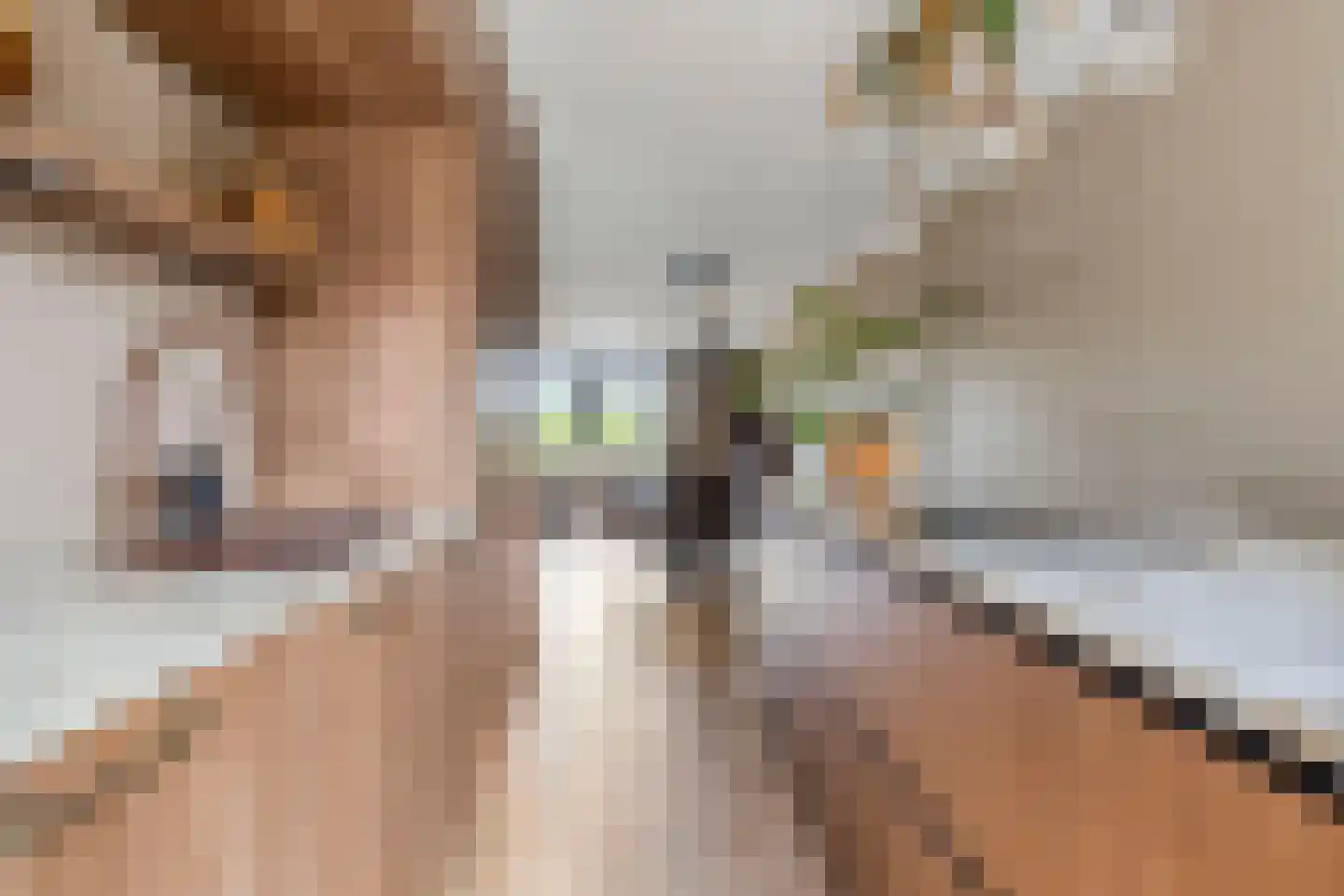 E. Hamburgerstraat 15 Heinenoord thumbnail 21