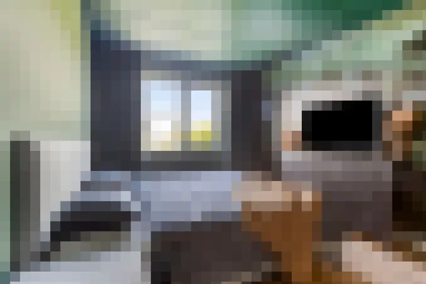 E. Hamburgerstraat 15 Heinenoord thumbnail 25