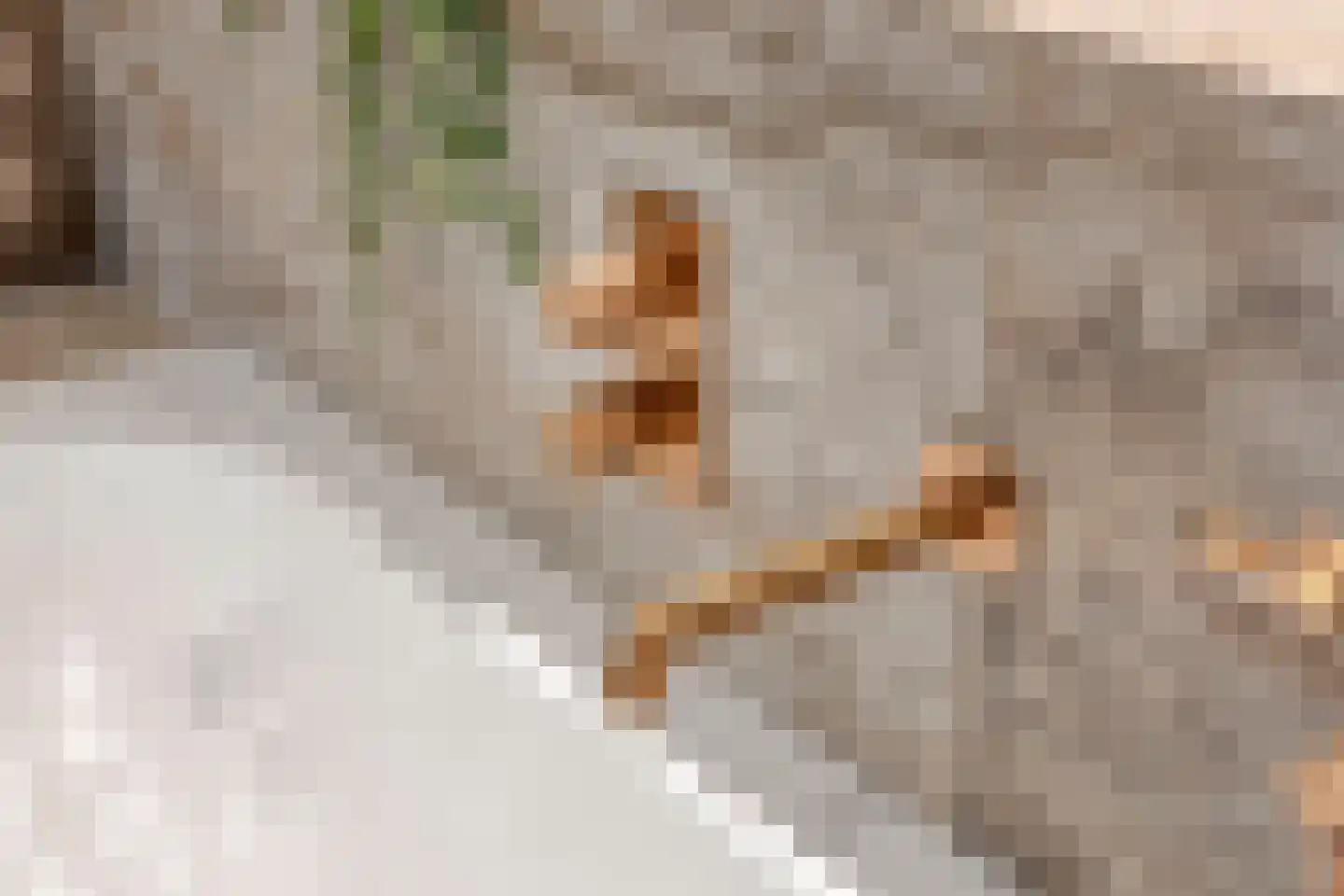 E. Hamburgerstraat 15 Heinenoord thumbnail 31