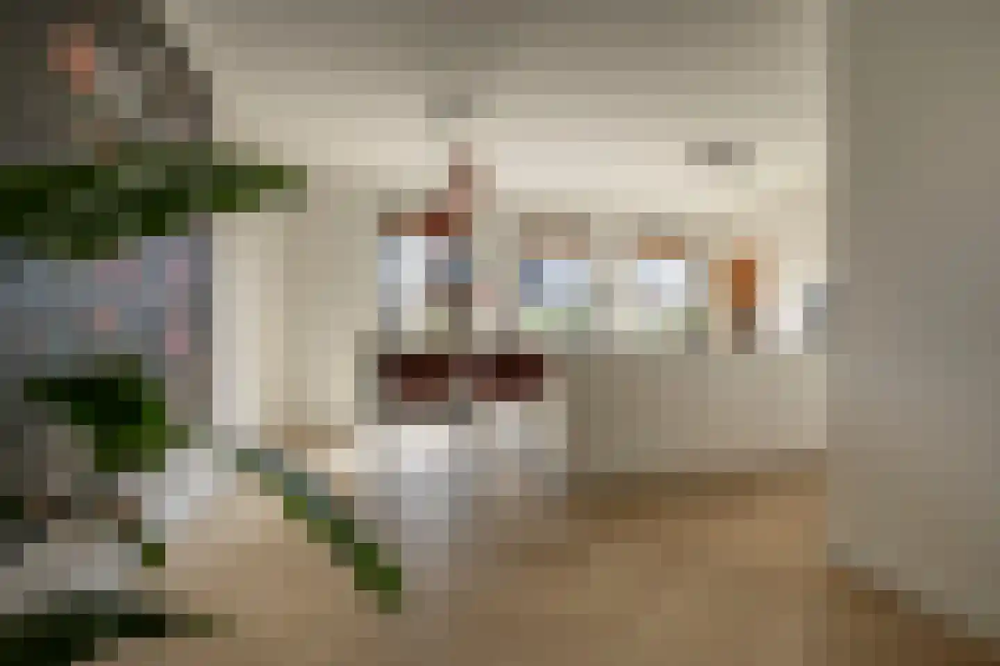 E. Hamburgerstraat 21 Heinenoord thumbnail 12
