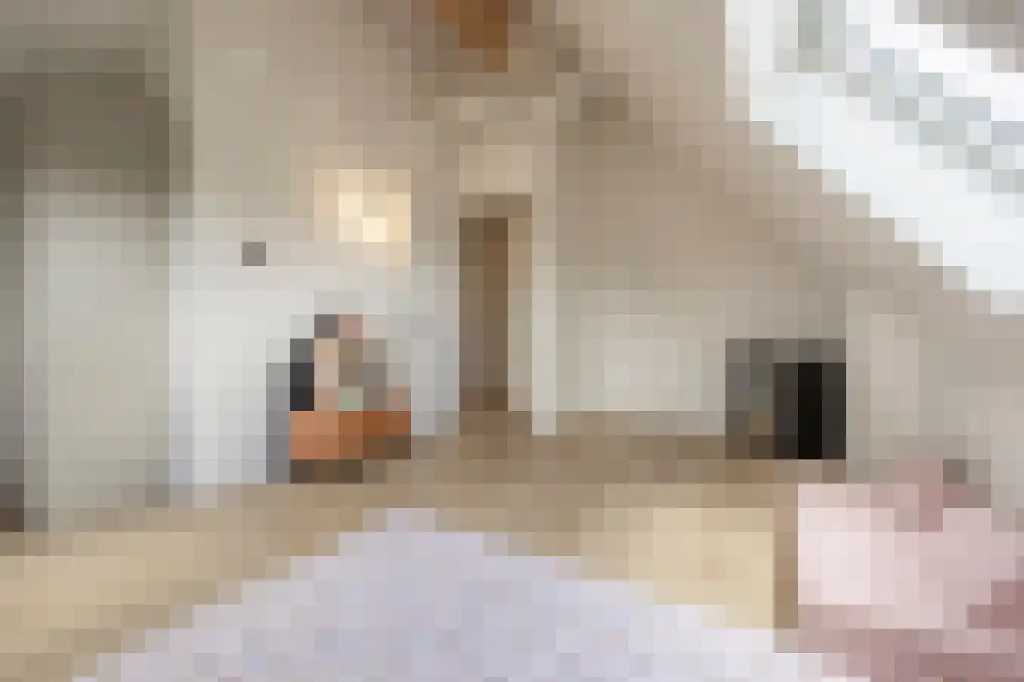 E. Hamburgerstraat 21 Heinenoord thumbnail 42