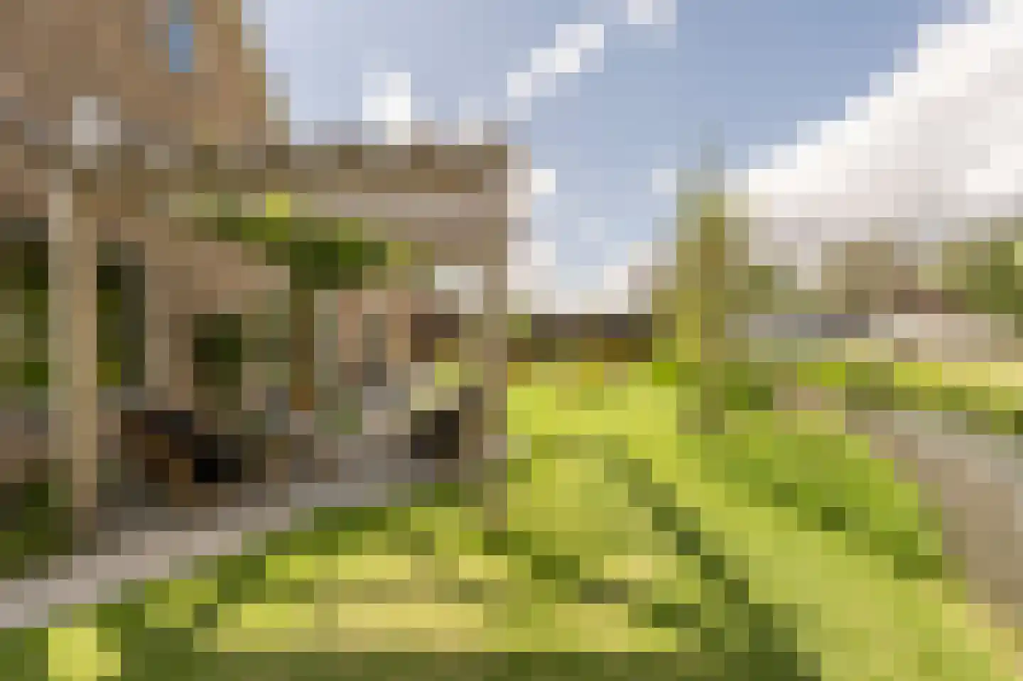 E. Hamburgerstraat 21 Heinenoord thumbnail 44