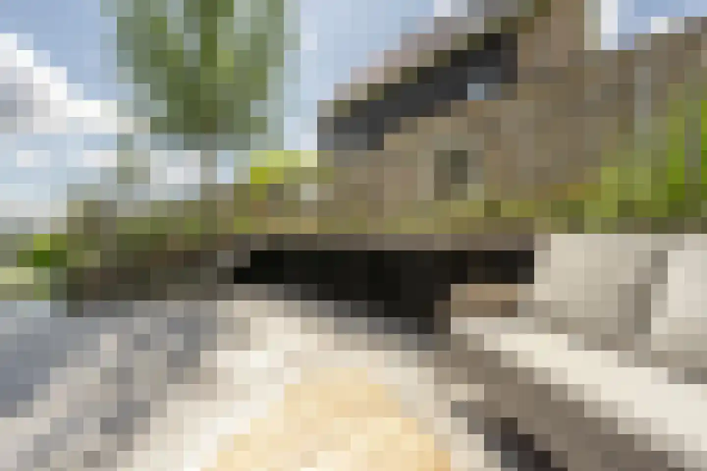 E. Hamburgerstraat 21 Heinenoord thumbnail 48