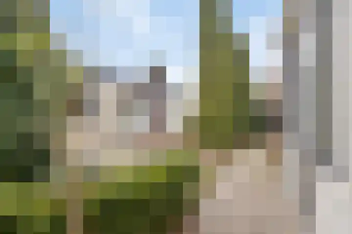 E. Heimanshof 8 Zaandam thumbnail 18