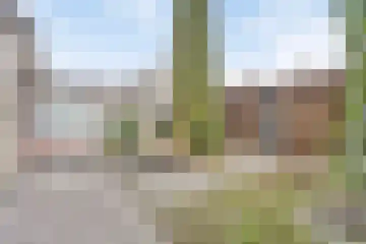 E. Heimanshof 8 Zaandam thumbnail 19