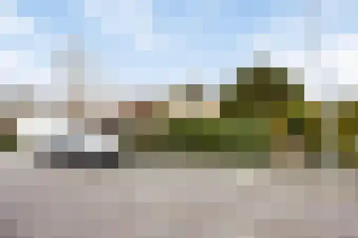 E. Heimanshof 8 Zaandam thumbnail 41