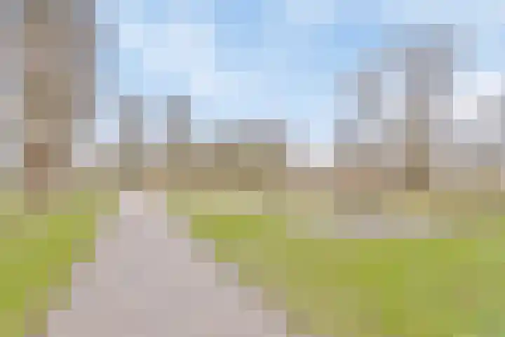 E. Heimanshof 8 Zaandam thumbnail 44