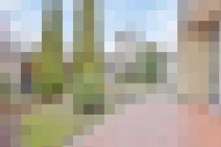E. Heimanshof 8 Zaandam thumbnail 5