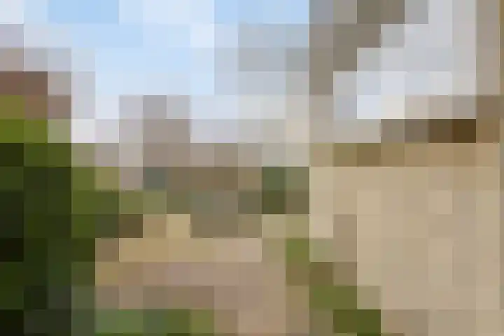 E. Heimanshof 8 Zaandam thumbnail 8