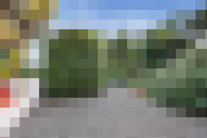 E. Heimanshof 9 Zaandam thumbnail 17