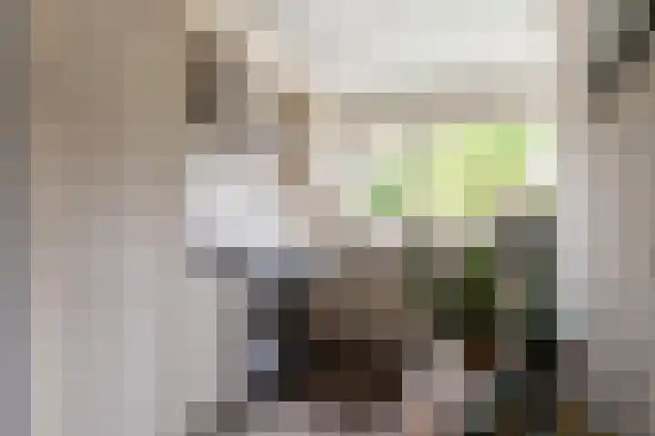 E.J.Hoegenhof 6 Garderen thumbnail 15