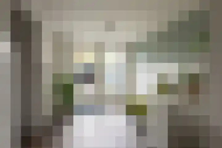 E.J.Hoegenhof 6 Garderen thumbnail 18