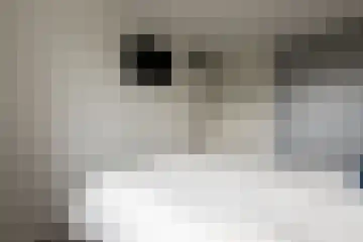 E.J.Hoegenhof 6 Garderen thumbnail 26