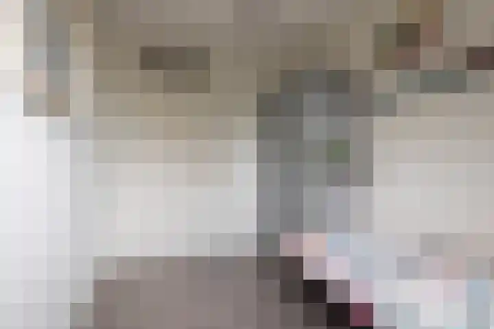 E.J.Hoegenhof 6 Garderen thumbnail 28