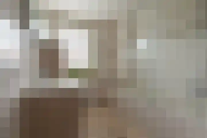 E.J.Hoegenhof 6 Garderen thumbnail 31
