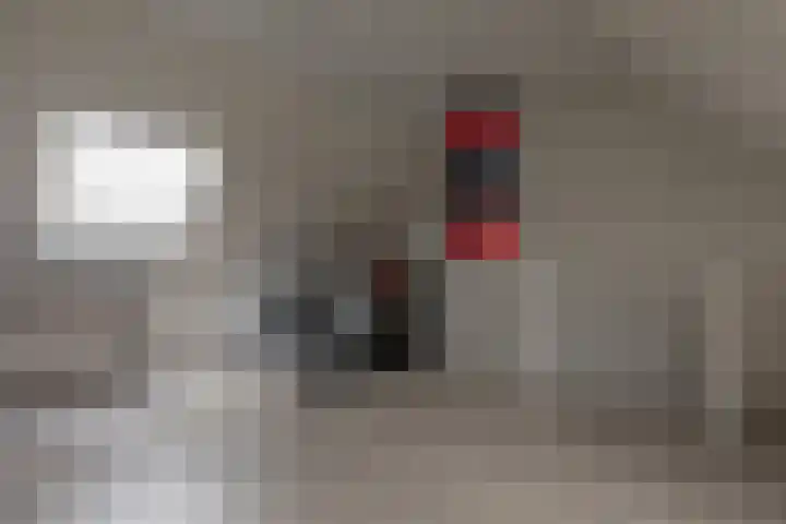 E.J.Hoegenhof 6 Garderen thumbnail 34