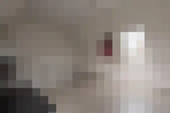 E.J.Hoegenhof 6 Garderen thumbnail 36