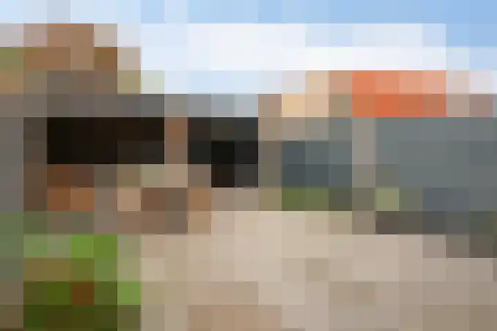 E.J.Hoegenhof 6 Garderen thumbnail 40