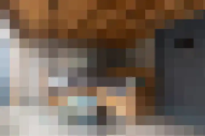 E.J.Hoegenhof 6 Garderen thumbnail 41