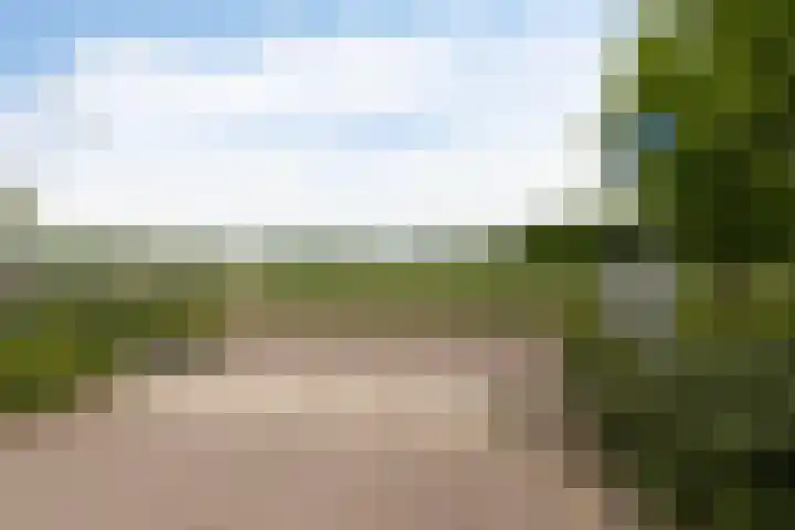 E.J.Hoegenhof 6 Garderen thumbnail 5