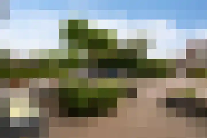E.J.Hoegenhof 6 Garderen thumbnail 6