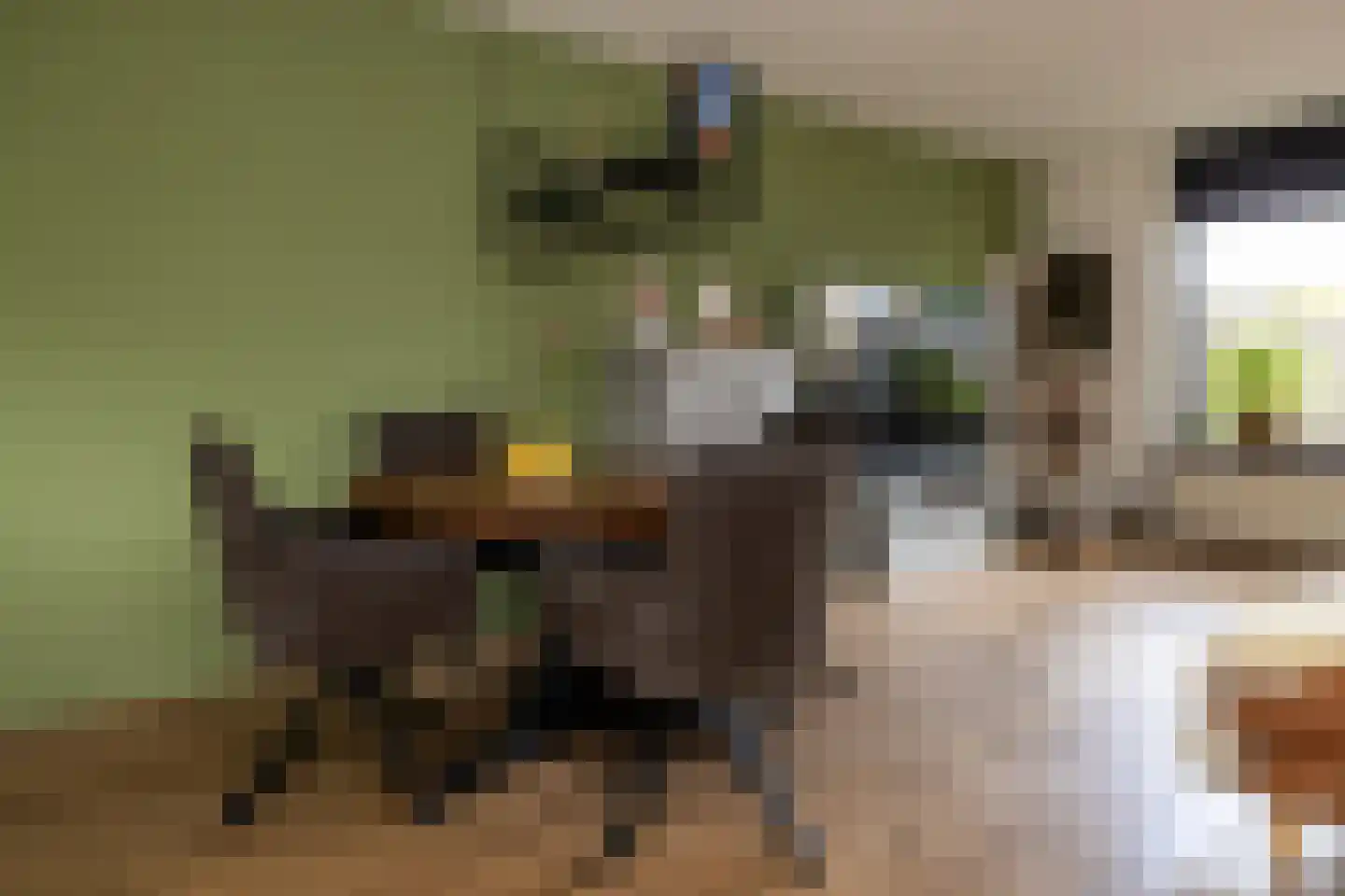 E.J.Hoegenhof 8 Garderen thumbnail 15
