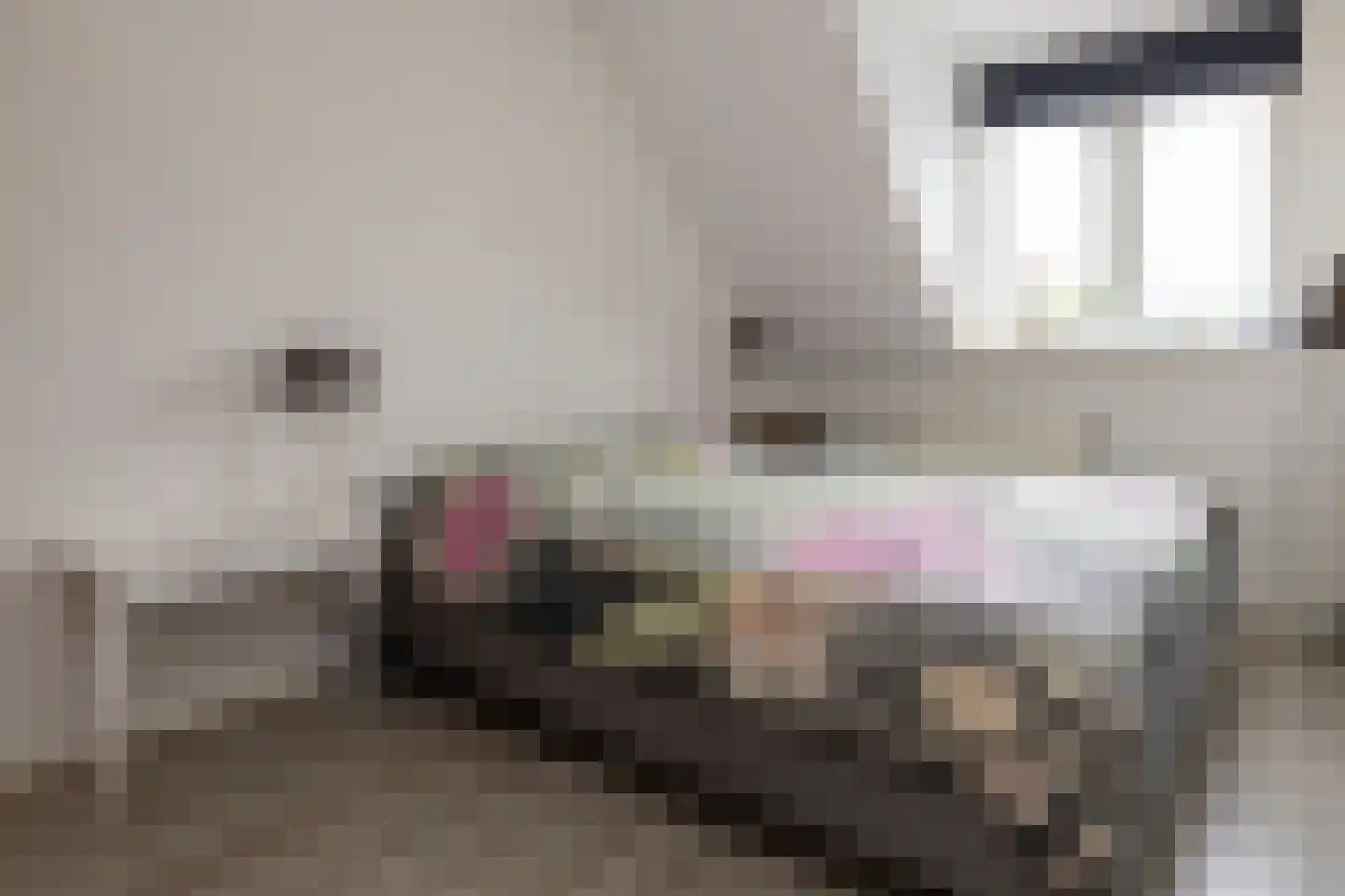 E.J.Hoegenhof 8 Garderen thumbnail 20