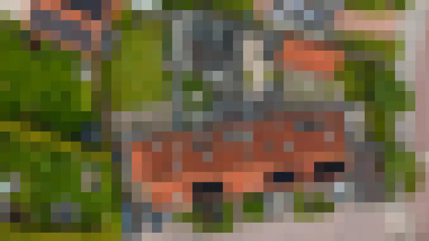 E.J.Hoegenhof 8 Garderen thumbnail 32