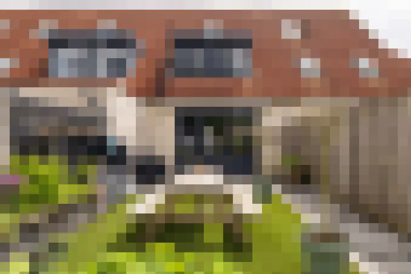 E.J.Hoegenhof 8 Garderen thumbnail 4