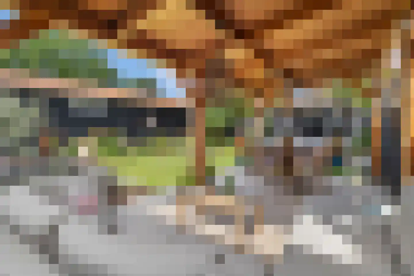 E.J. Potgieterweg 10 Heiloo thumbnail 33
