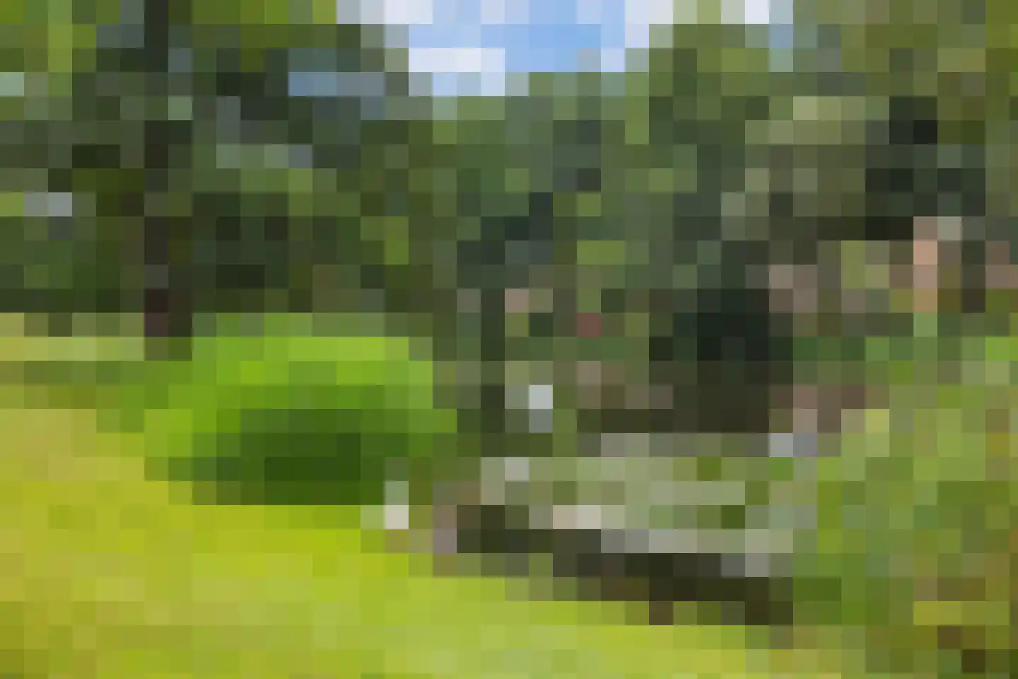 E.J. Potgieterweg 10 Heiloo thumbnail 41