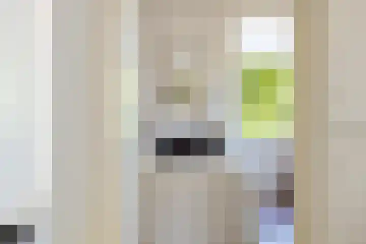 E L Ubbensweg 1 Huizinge thumbnail 12