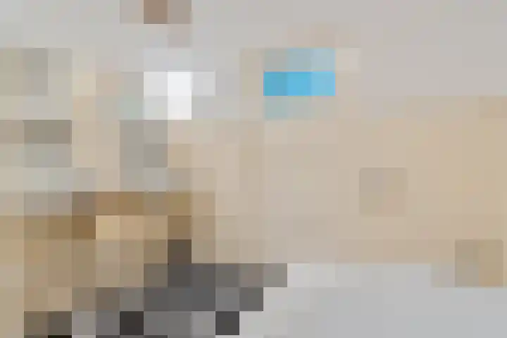 E L Ubbensweg 1 Huizinge thumbnail 36