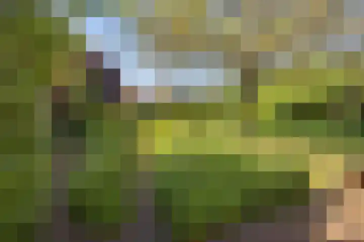 E L Ubbensweg 1 Huizinge thumbnail 38