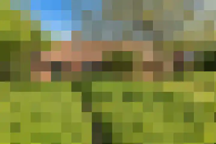 E L Ubbensweg 1 Huizinge thumbnail 39