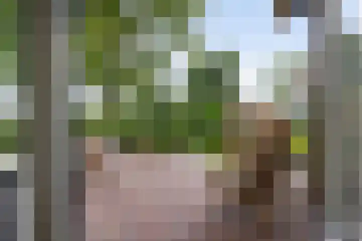 E L Ubbensweg 13 Huizinge thumbnail 17