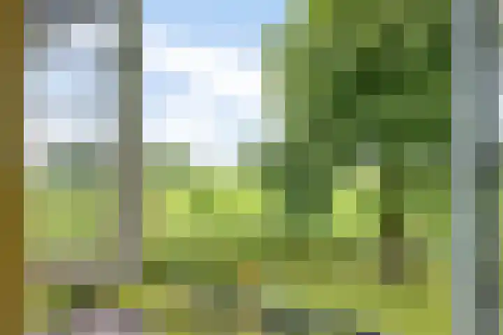 E L Ubbensweg 13 Huizinge thumbnail 30