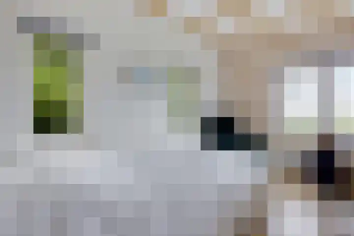E L Ubbensweg 13 Huizinge thumbnail 32
