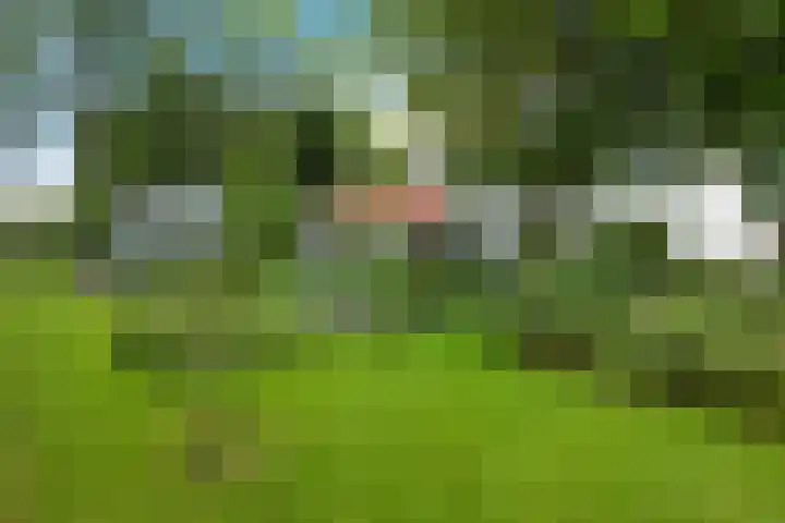 E L Ubbensweg 13 Huizinge thumbnail 37