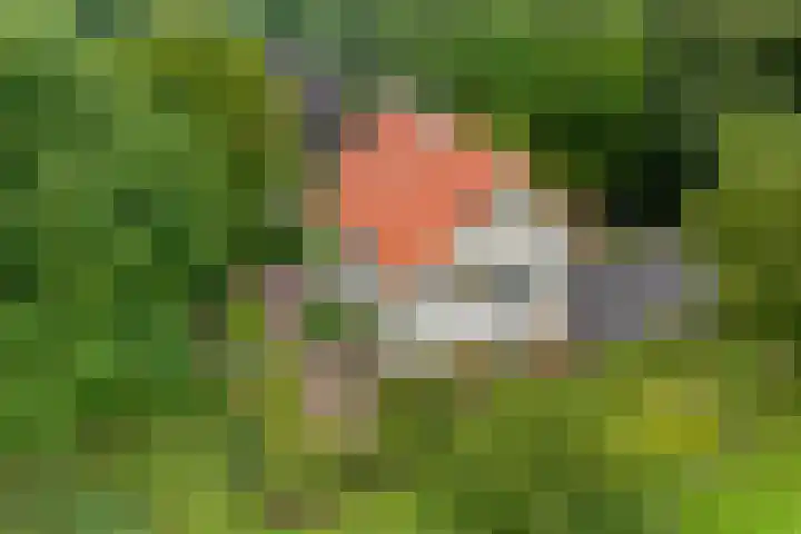 E L Ubbensweg 13 Huizinge thumbnail 4